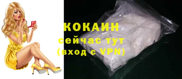 гашик Снежногорск