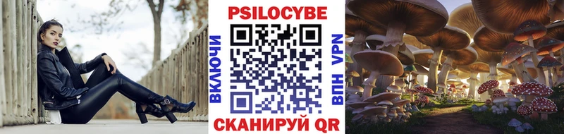 как найти закладки  Лермонтов  ссылка на мегу сайт  Псилоцибиновые грибы мухоморы 